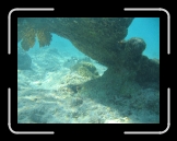 Misc 097 * 2592 x 1944 * (2.28MB)